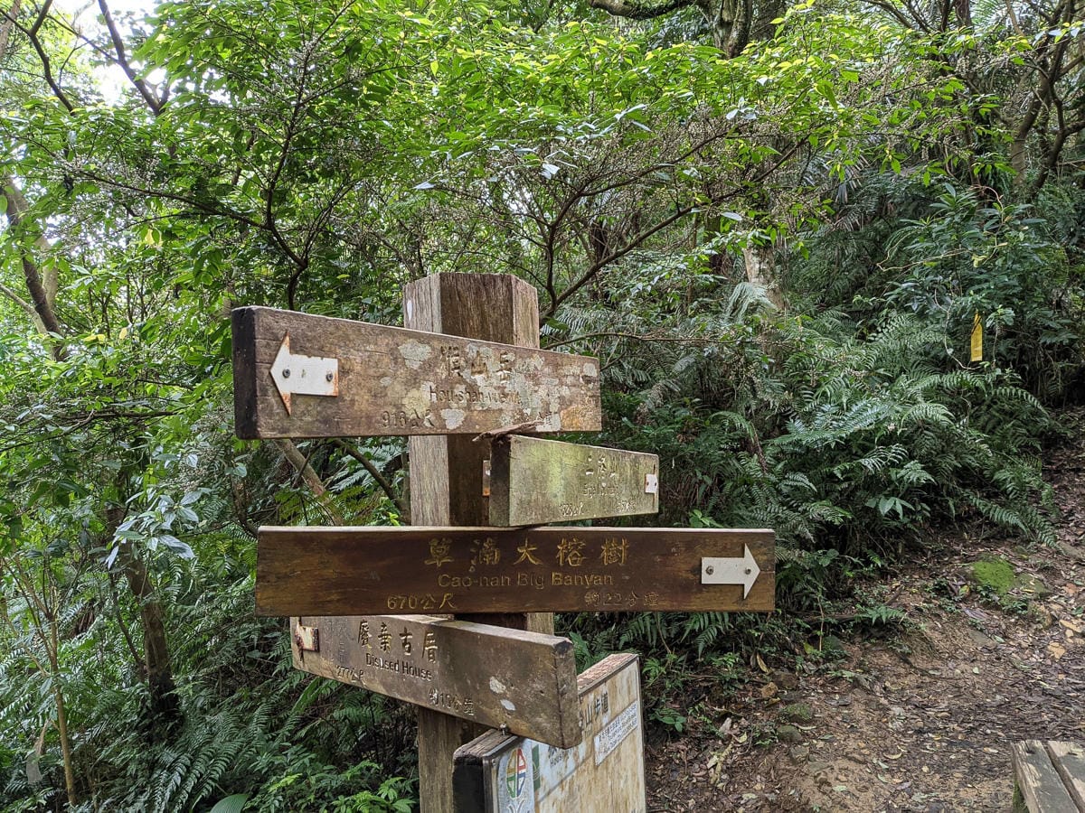 木柵猴山岳登山步道新手可以嗎？拉繩攀爬找雙扇蕨