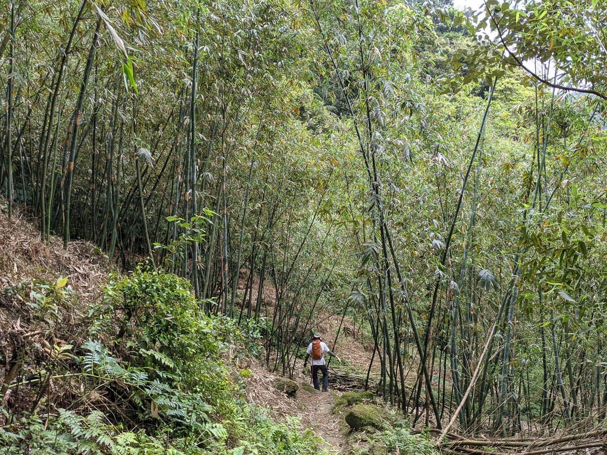木柵猴山岳登山步道新手可以嗎？拉繩攀爬找雙扇蕨