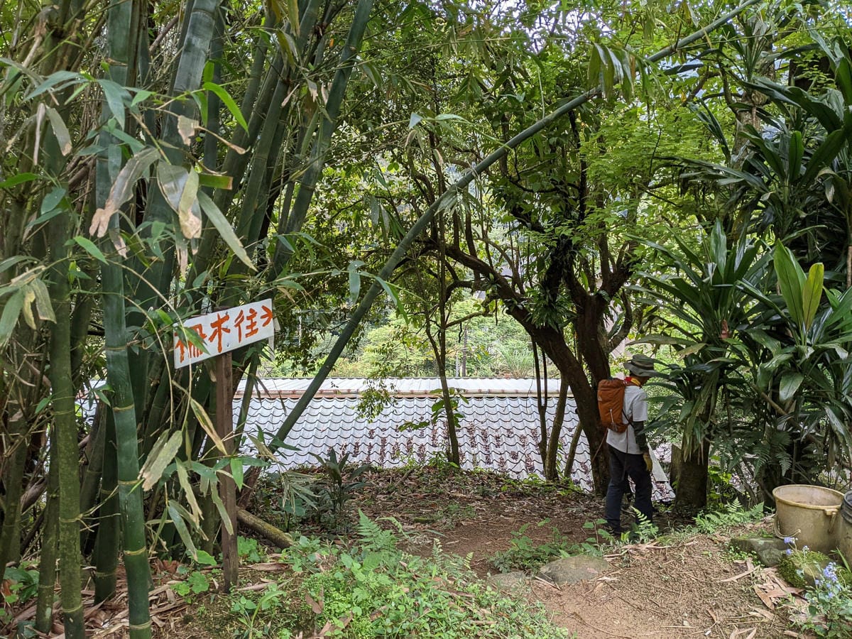 木柵猴山岳登山步道新手可以嗎？拉繩攀爬找雙扇蕨