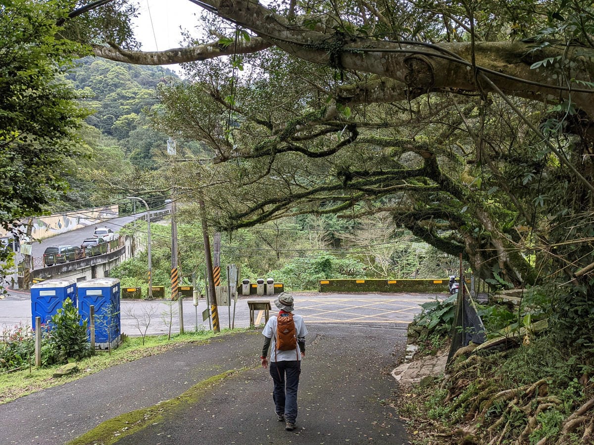 木柵猴山岳登山步道新手可以嗎？拉繩攀爬找雙扇蕨