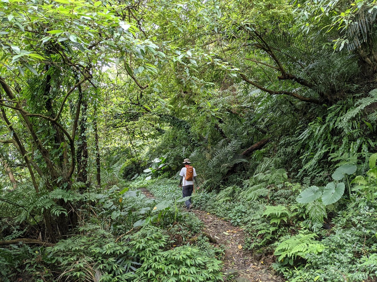 木柵猴山岳登山步道新手可以嗎？拉繩攀爬找雙扇蕨