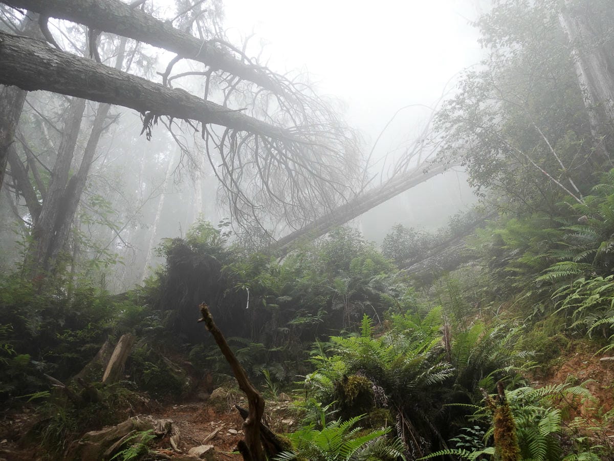 靈氣帶給我的禮物之一 開啟屬於自己的天賦 開始問事服務 - 第3張圖 靈氣帶給我的禮物之一 開啟屬於自己的天賦 開始問事服務