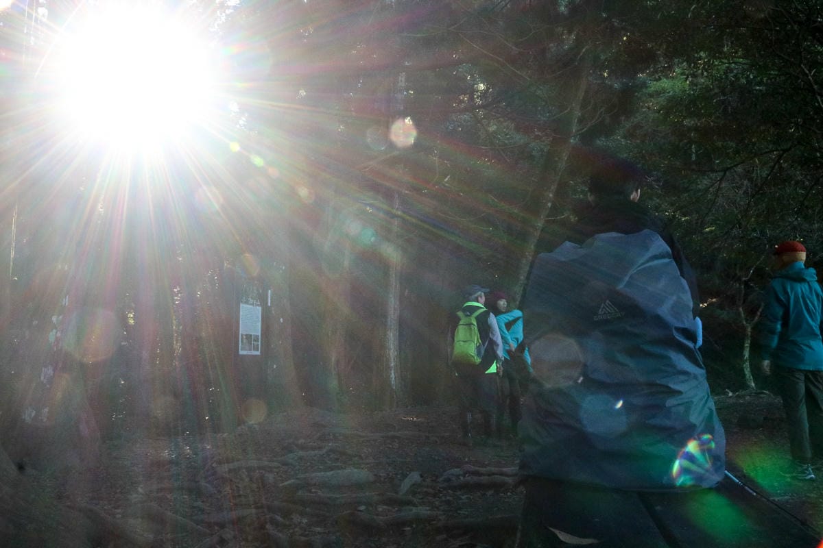 靈氣帶給我的禮物之一 開啟屬於自己的天賦 開始問事服務 - 第5張圖 靈氣帶給我的禮物之一 開啟屬於自己的天賦 開始問事服務