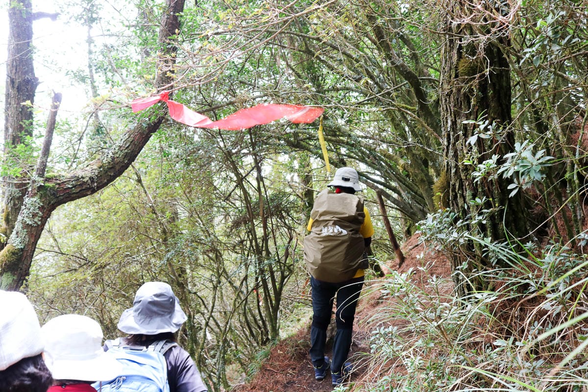 防水背包套怎麼用、防塵背包套何時用與如何保養清洗防雨罩