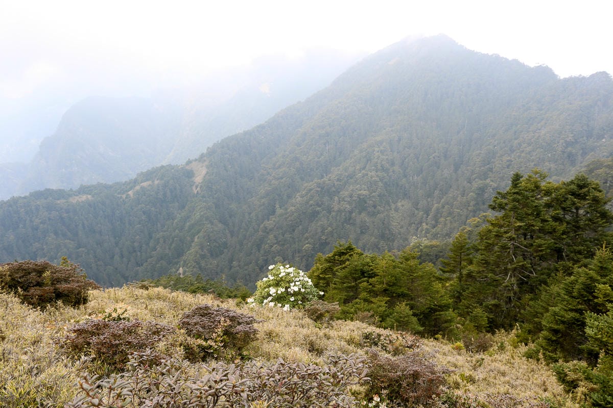武陵二秀 桃山喀拉業山三天兩夜 桃山篇