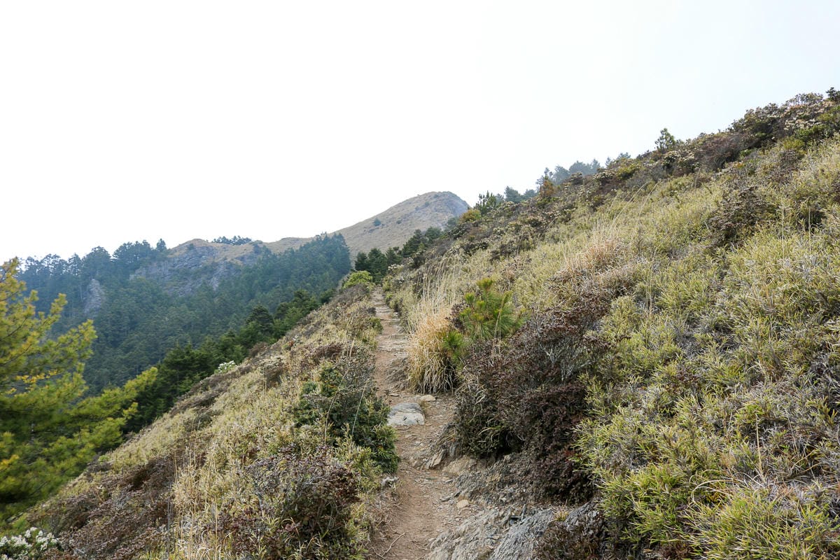 武陵二秀 桃山喀拉業山三天兩夜 桃山篇