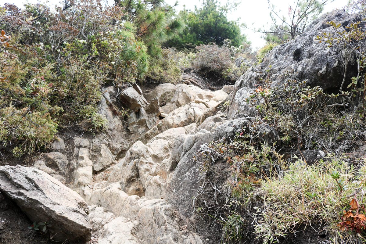 武陵二秀 桃山喀拉業山三天兩夜 桃山篇