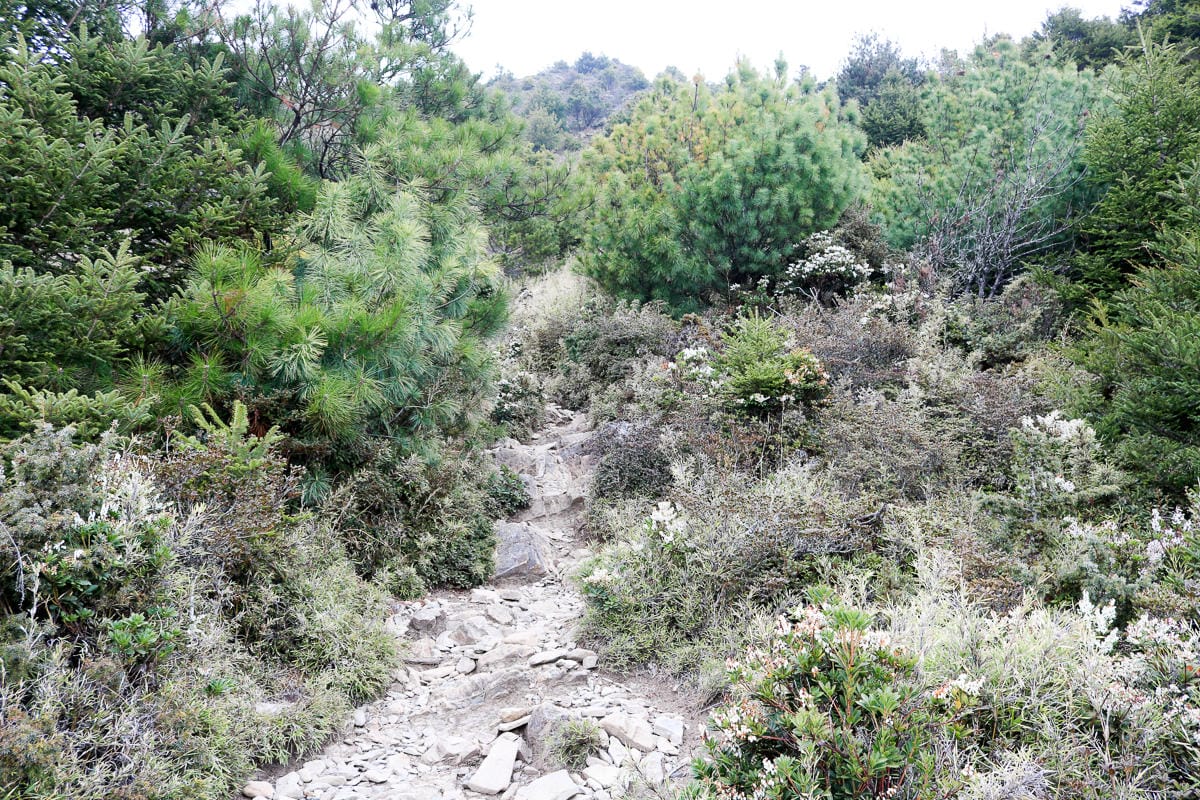 武陵二秀 桃山喀拉業山三天兩夜 桃山篇