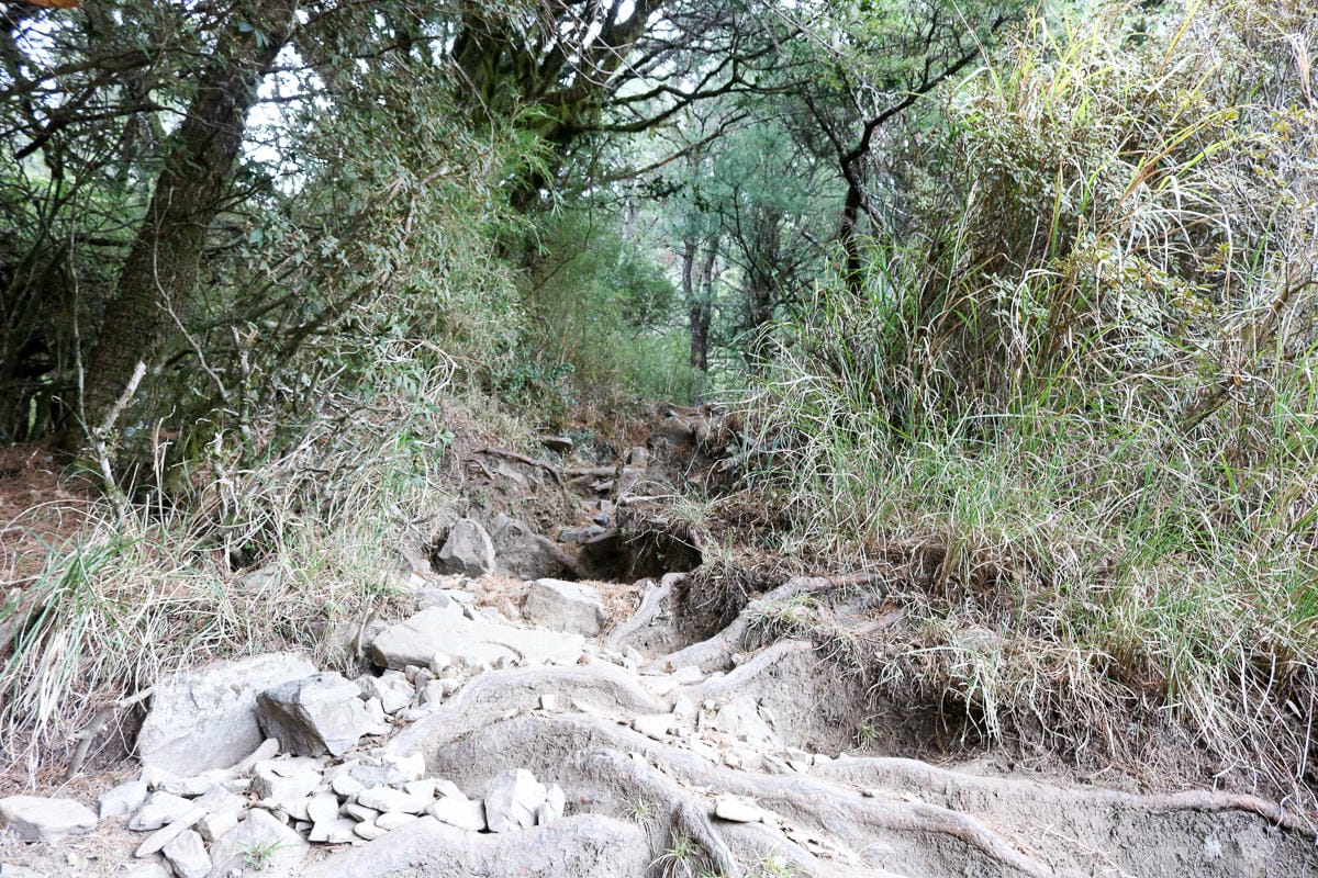 武陵二秀 桃山喀拉業山三天兩夜 桃山篇