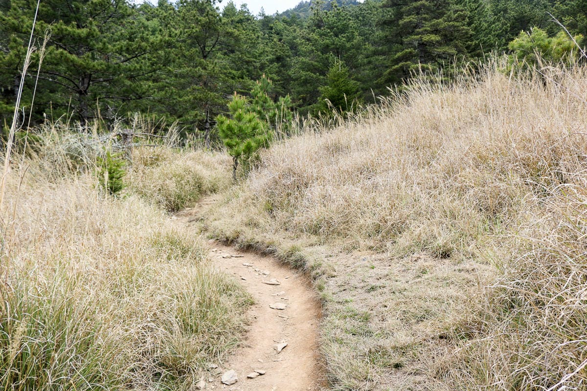 武陵二秀 桃山喀拉業山三天兩夜 桃山篇