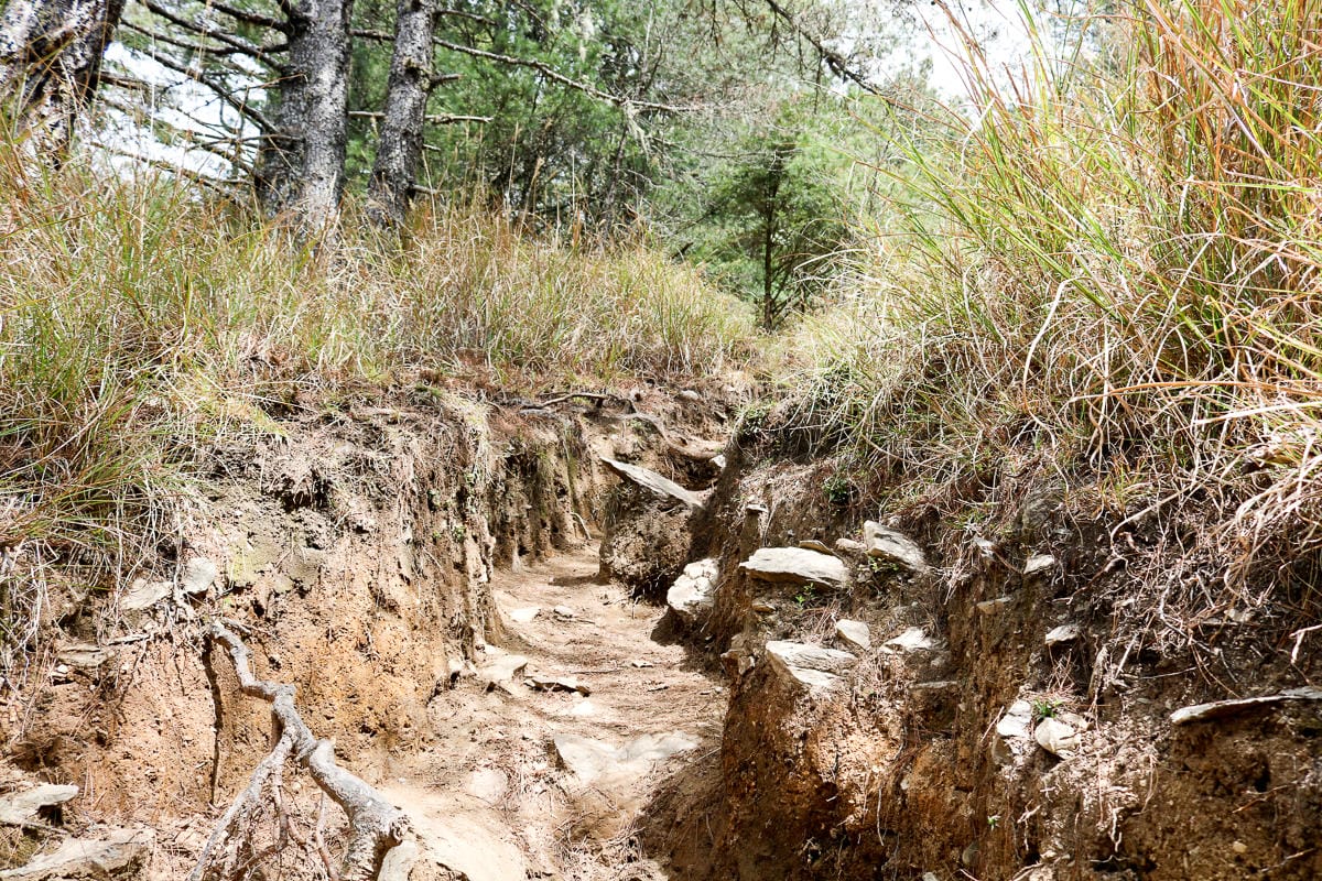 武陵二秀 桃山喀拉業山三天兩夜 桃山篇