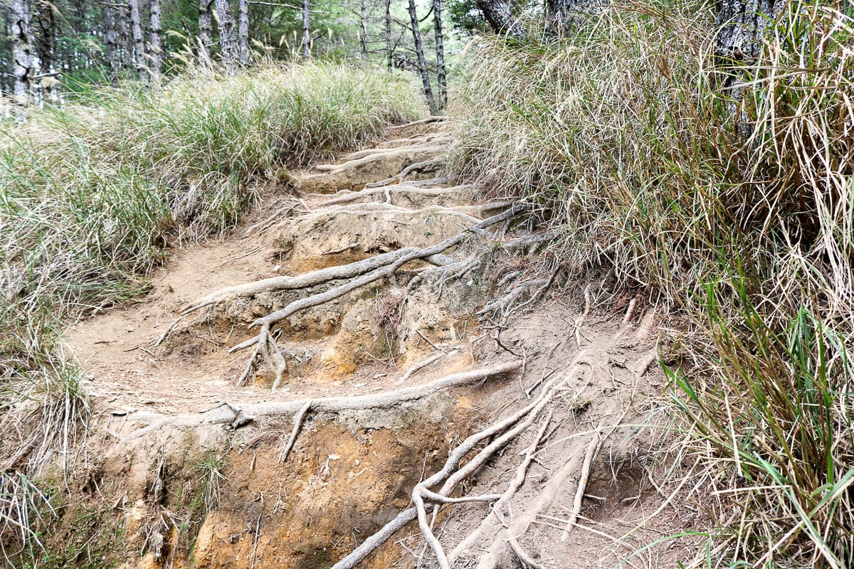 武陵二秀 桃山喀拉業山三天兩夜 桃山篇
