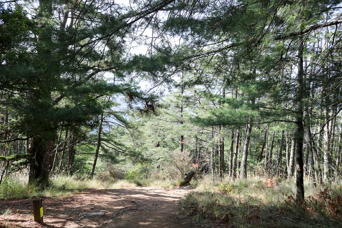 武陵二秀 桃山喀拉業山三天兩夜 桃山篇