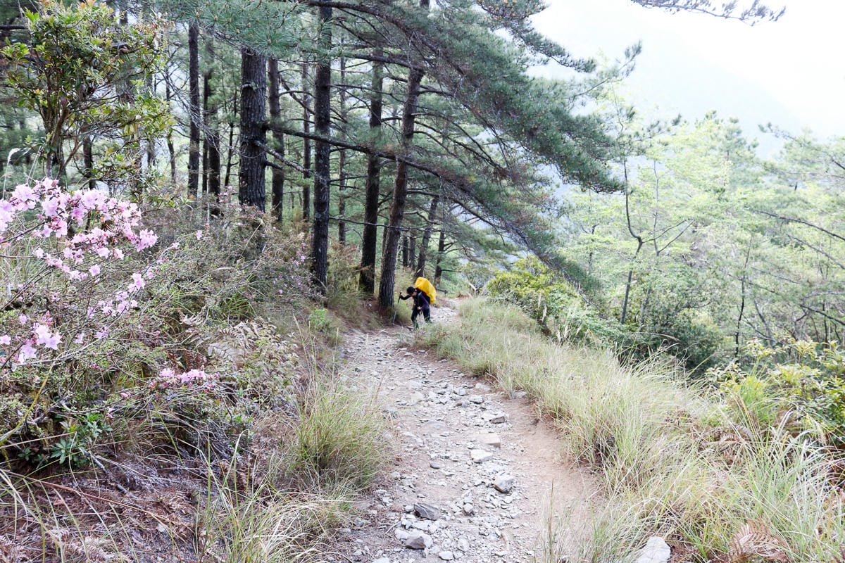 武陵二秀 桃山喀拉業山三天兩夜 桃山篇