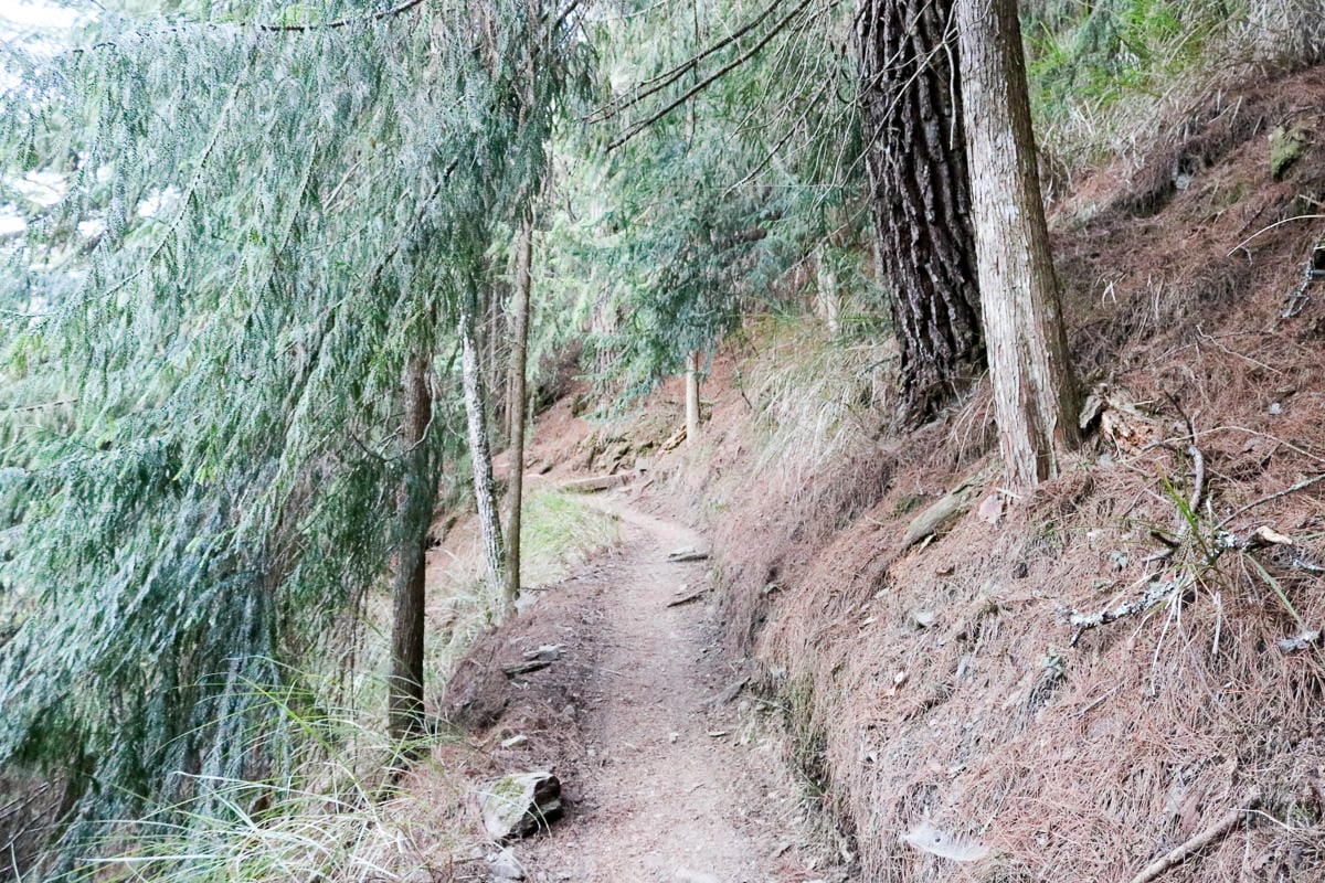 武陵二秀 桃山喀拉業山三天兩夜 桃山篇