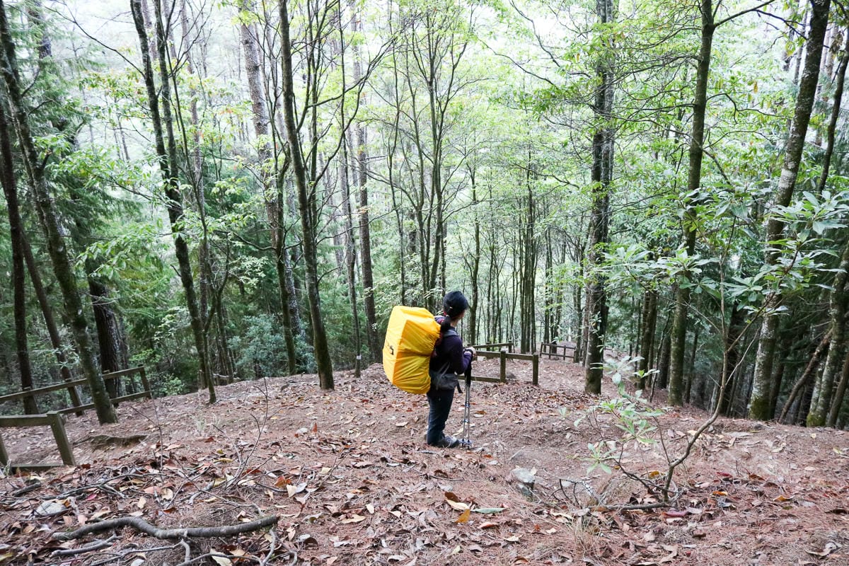 武陵二秀 桃山喀拉業山三天兩夜 桃山篇