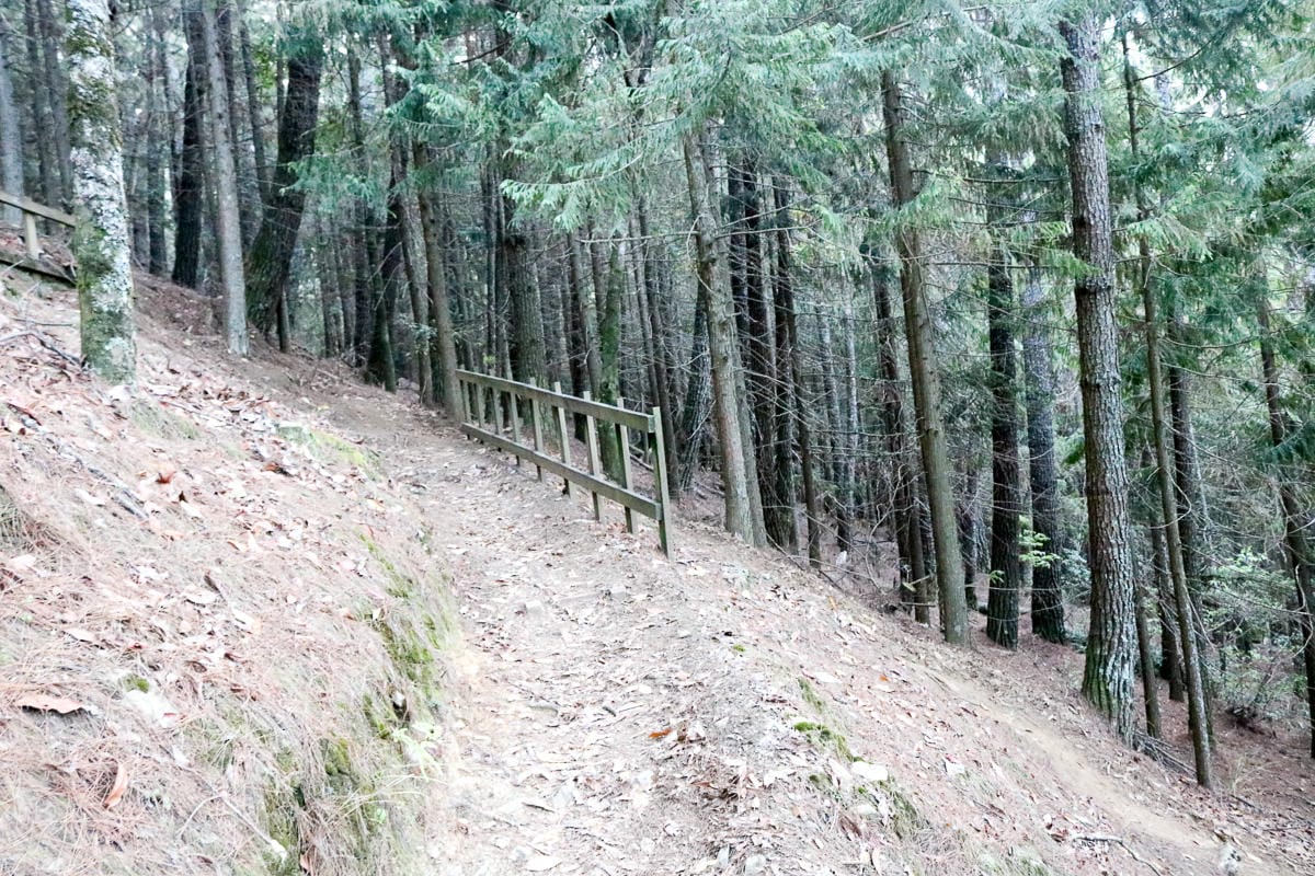 武陵二秀 桃山喀拉業山三天兩夜 桃山篇