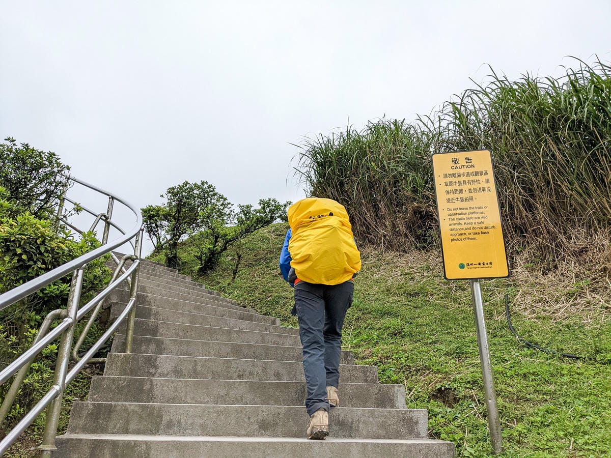 金包里大路 魚路古道北段 新手登山健行全年適合