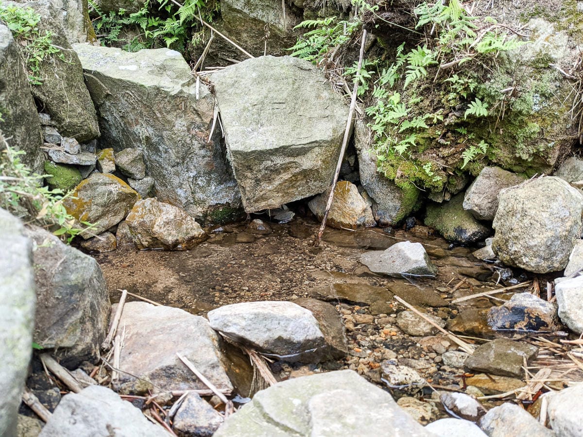 金包里大路 魚路古道北段 新手登山健行全年適合