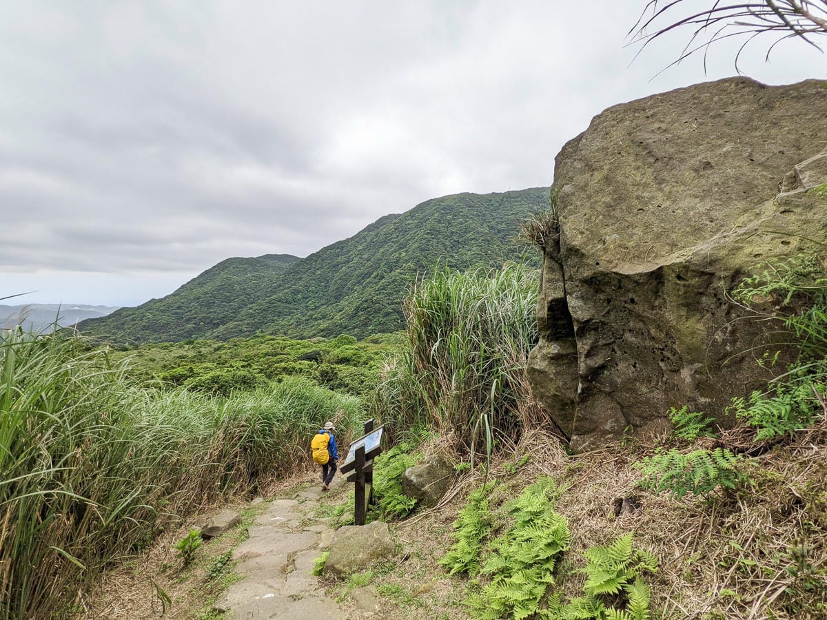 金包里大路 魚路古道北段 新手登山健行全年適合