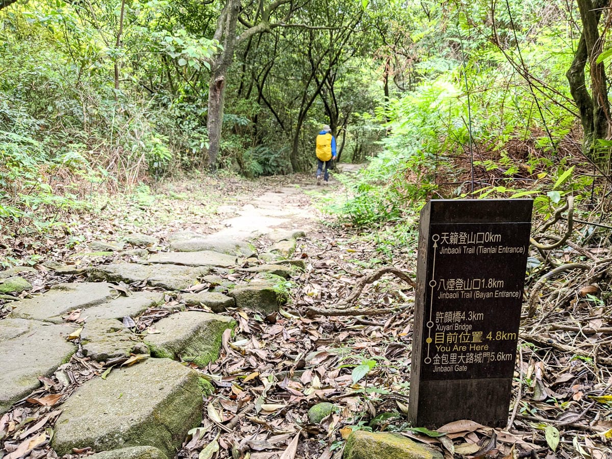 金包里大路 魚路古道北段 新手登山健行全年適合