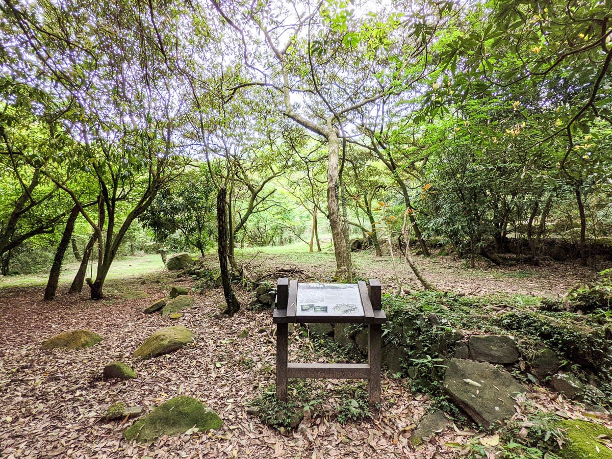 金包里大路 魚路古道北段 新手登山健行全年適合