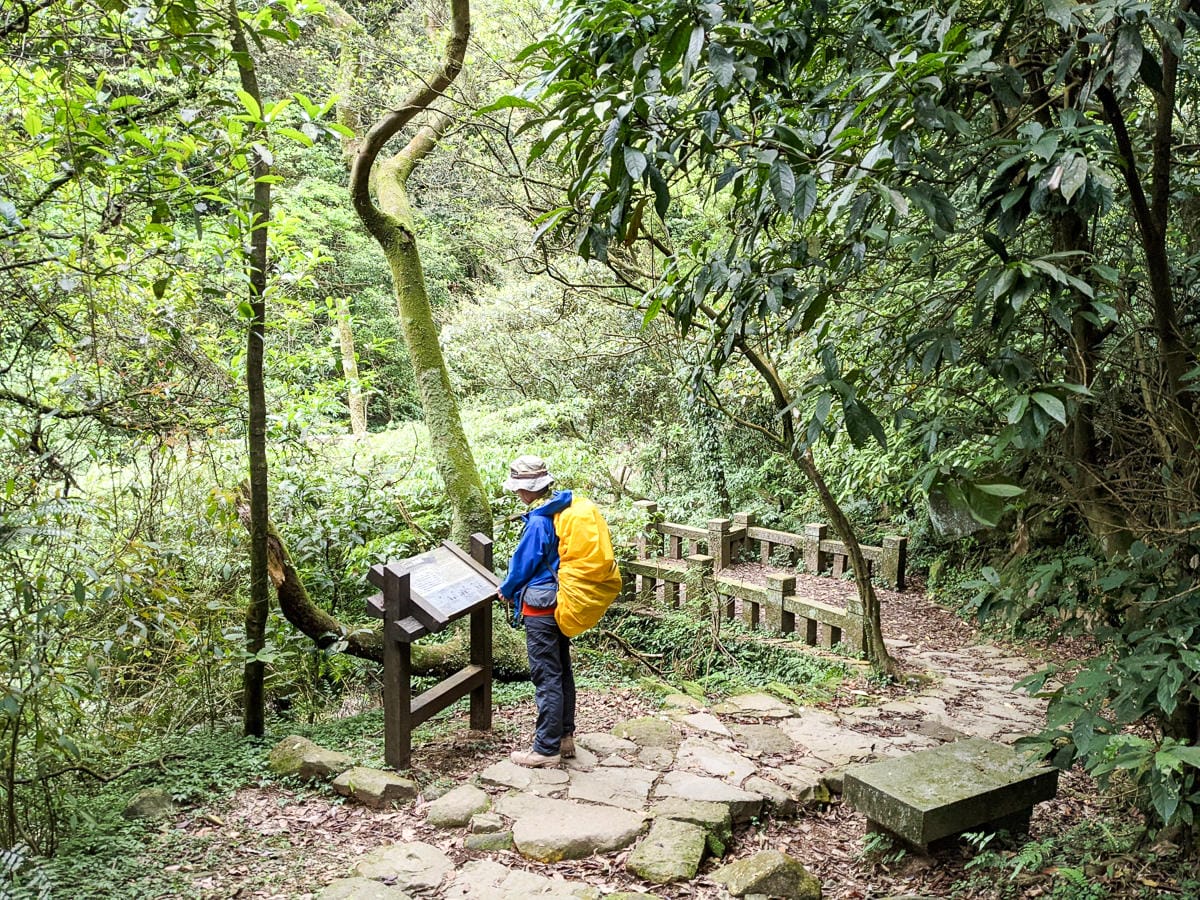 金包里大路 魚路古道北段 新手登山健行全年適合