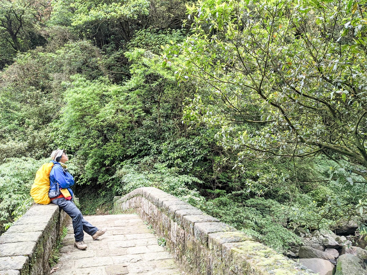 金包里大路 魚路古道北段 新手登山健行全年適合