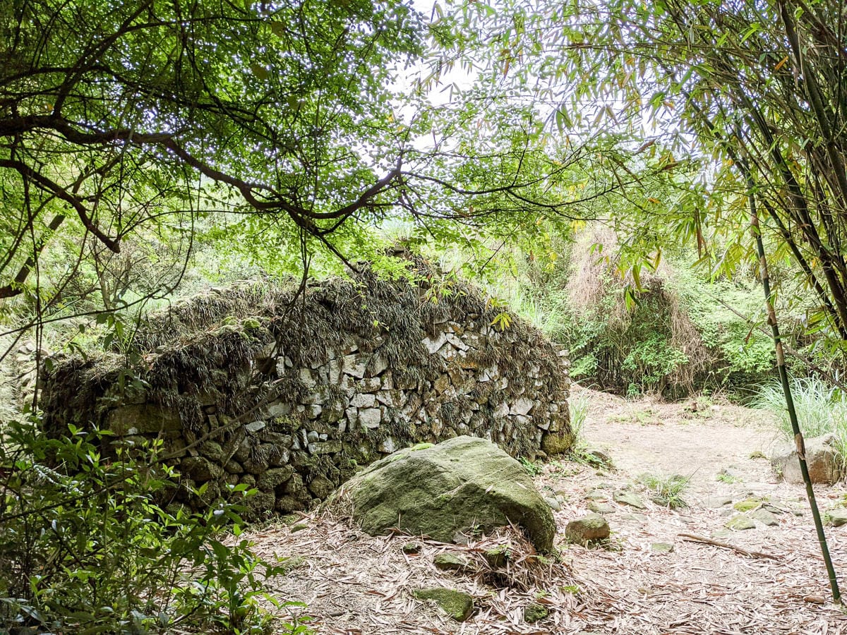 金包里大路 魚路古道北段 新手登山健行全年適合