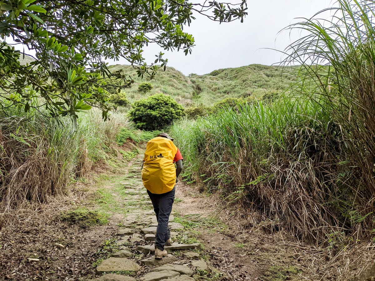 金包里大路 魚路古道北段 新手登山健行全年適合