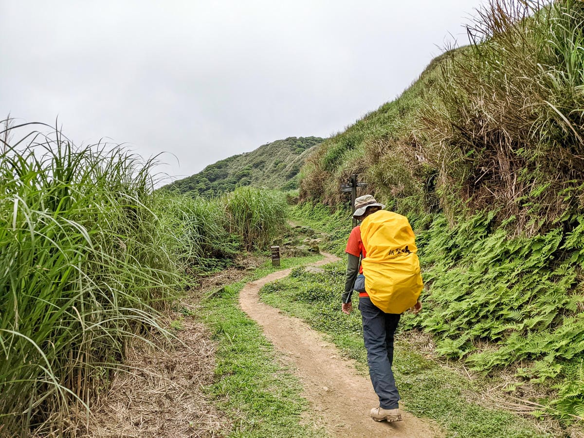 金包里大路 魚路古道北段 新手登山健行全年適合