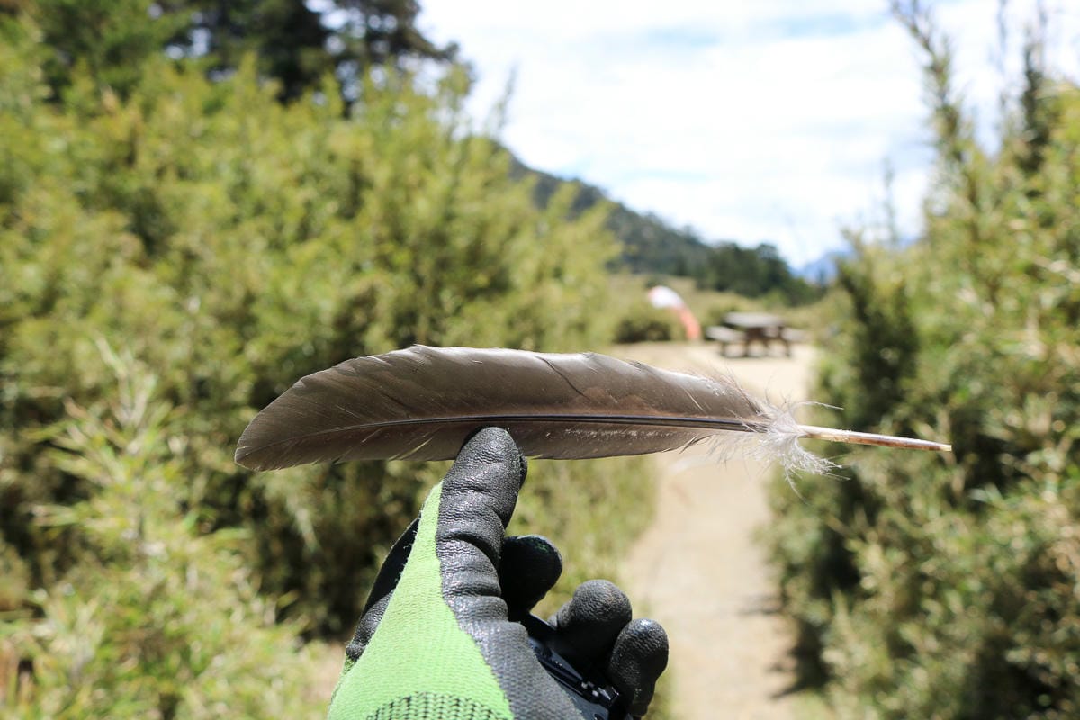 新達山屋水源路況好不好睡 武陵四秀品田山池有山必經之地