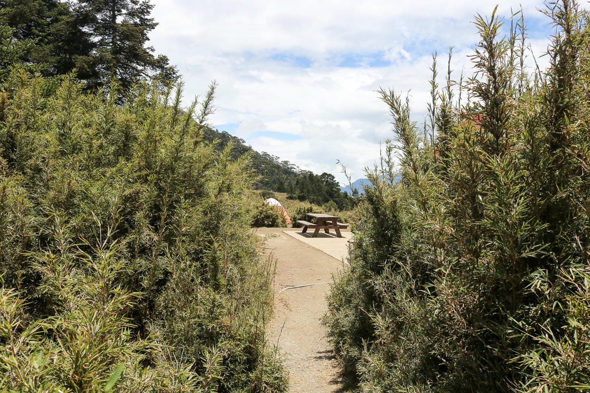 新達山屋水源路況好不好睡 武陵四秀品田山池有山必經之地