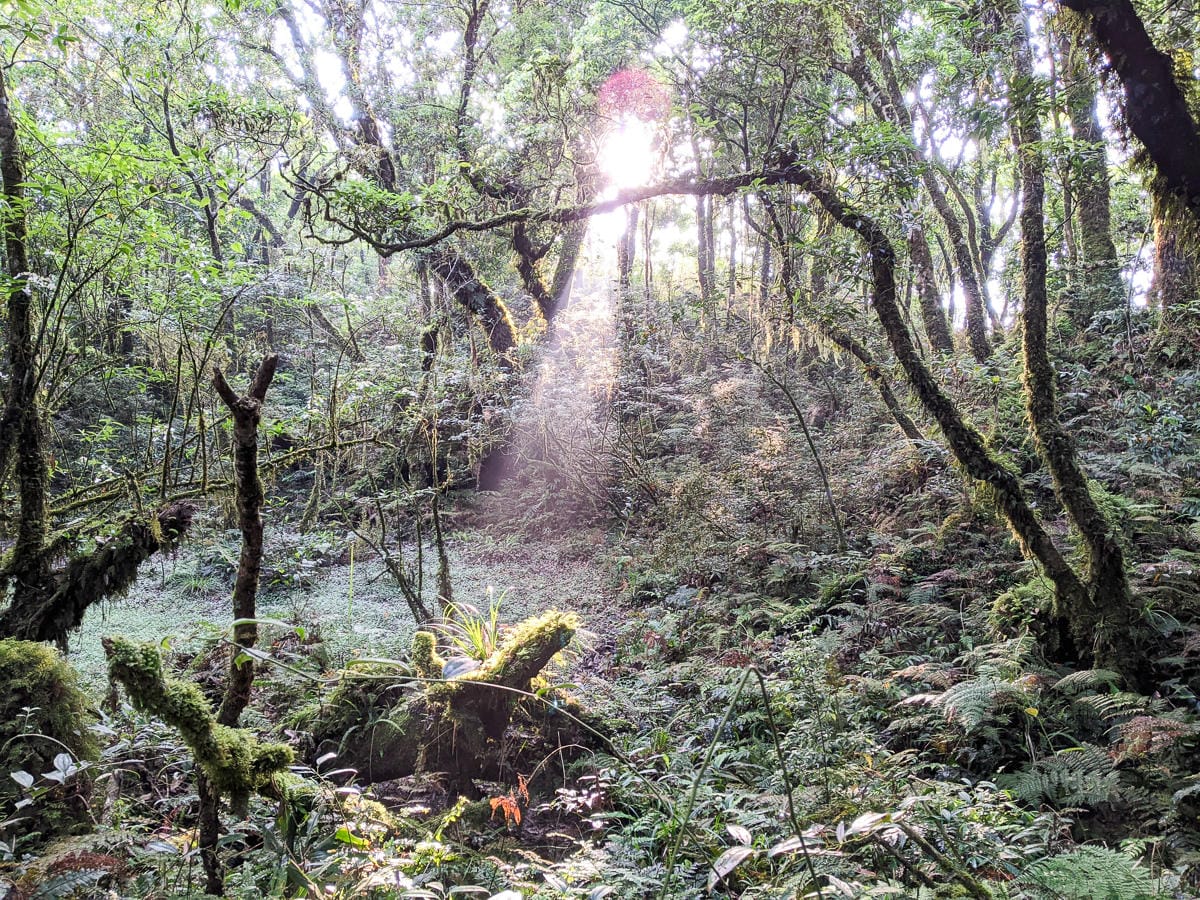 松蘿湖天氣難度攻略心得之改變人一生的重要山頭
