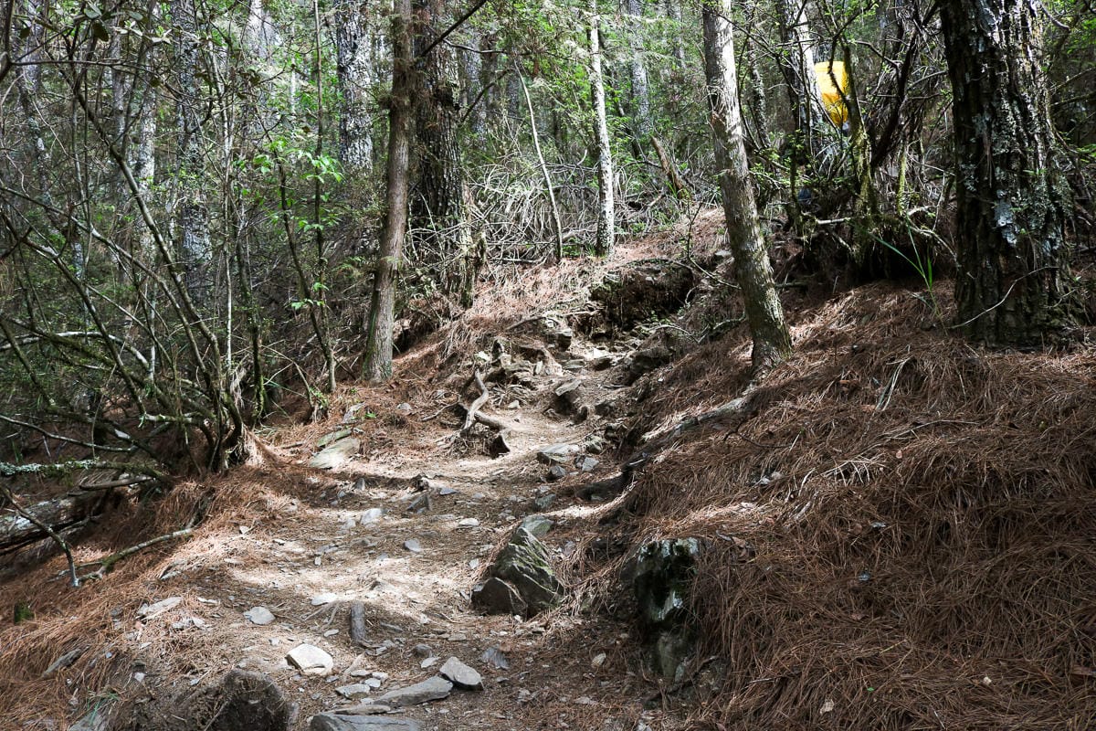 池有山難不難？武陵四秀品田池有必經之路