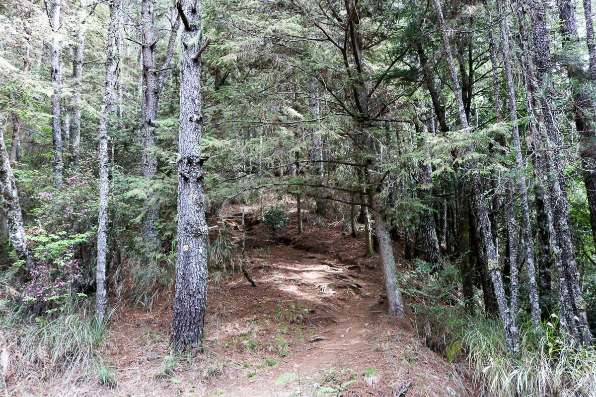 池有山難不難？武陵四秀品田池有必經之路