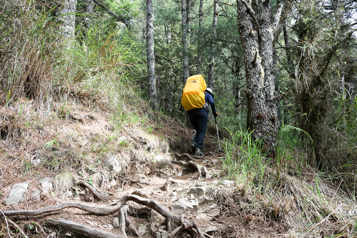 池有山難不難？武陵四秀品田池有必經之路