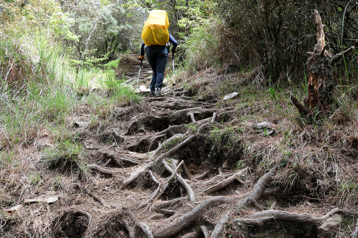 池有山難不難？武陵四秀品田池有必經之路