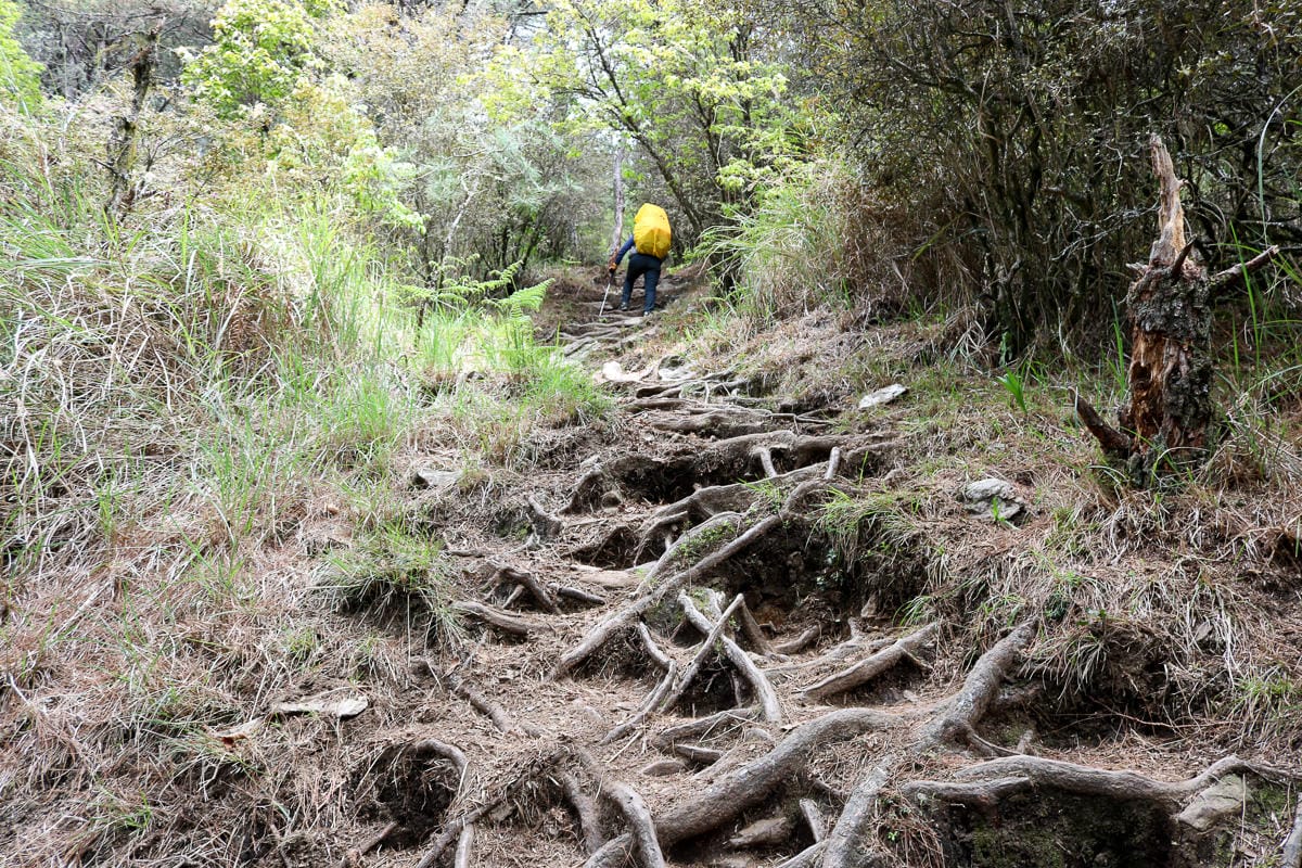 池有山難不難？武陵四秀品田池有必經之路