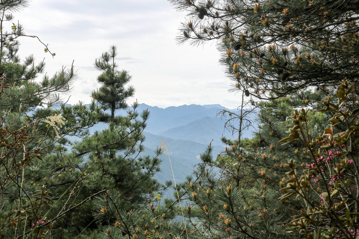 池有山難不難？武陵四秀品田池有必經之路