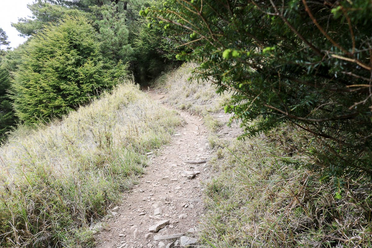 池有山難不難？武陵四秀品田池有必經之路