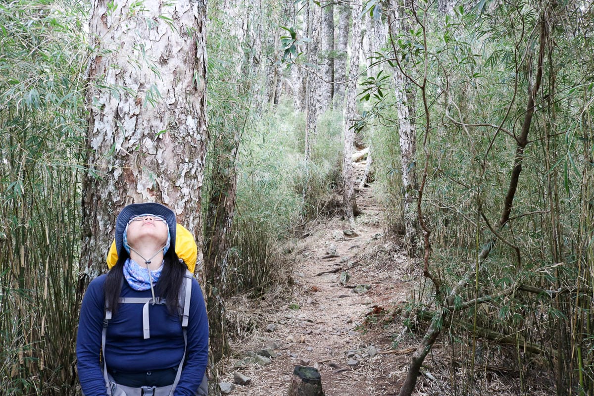 池有山難不難？武陵四秀品田池有必經之路