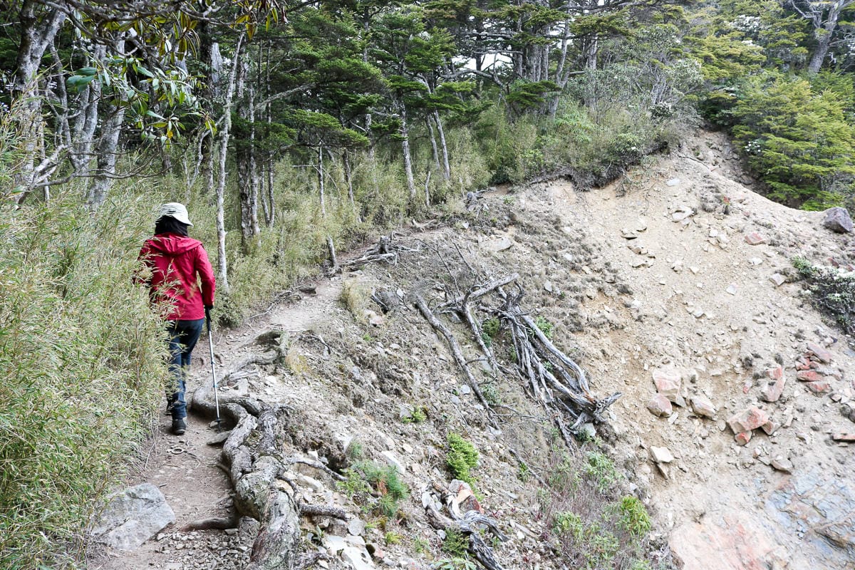 池有山難不難？武陵四秀品田池有必經之路