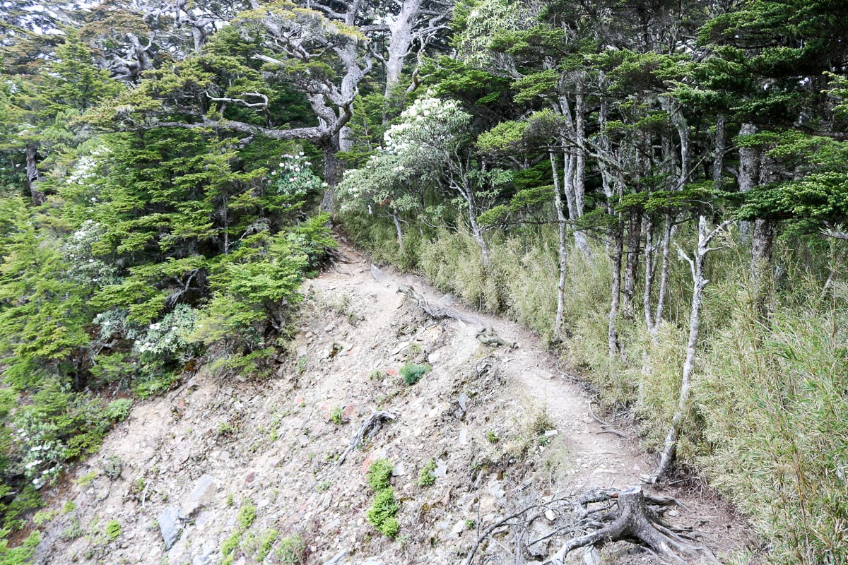 池有山難不難？武陵四秀品田池有必經之路