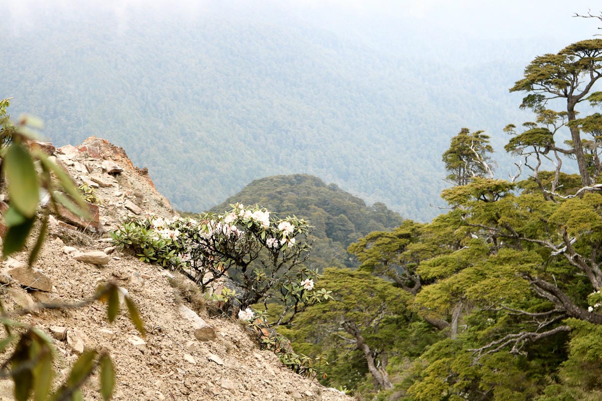 池有山難不難？武陵四秀品田池有必經之路