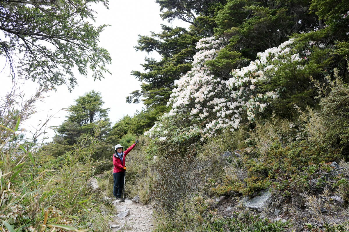 池有山難不難？武陵四秀品田池有必經之路