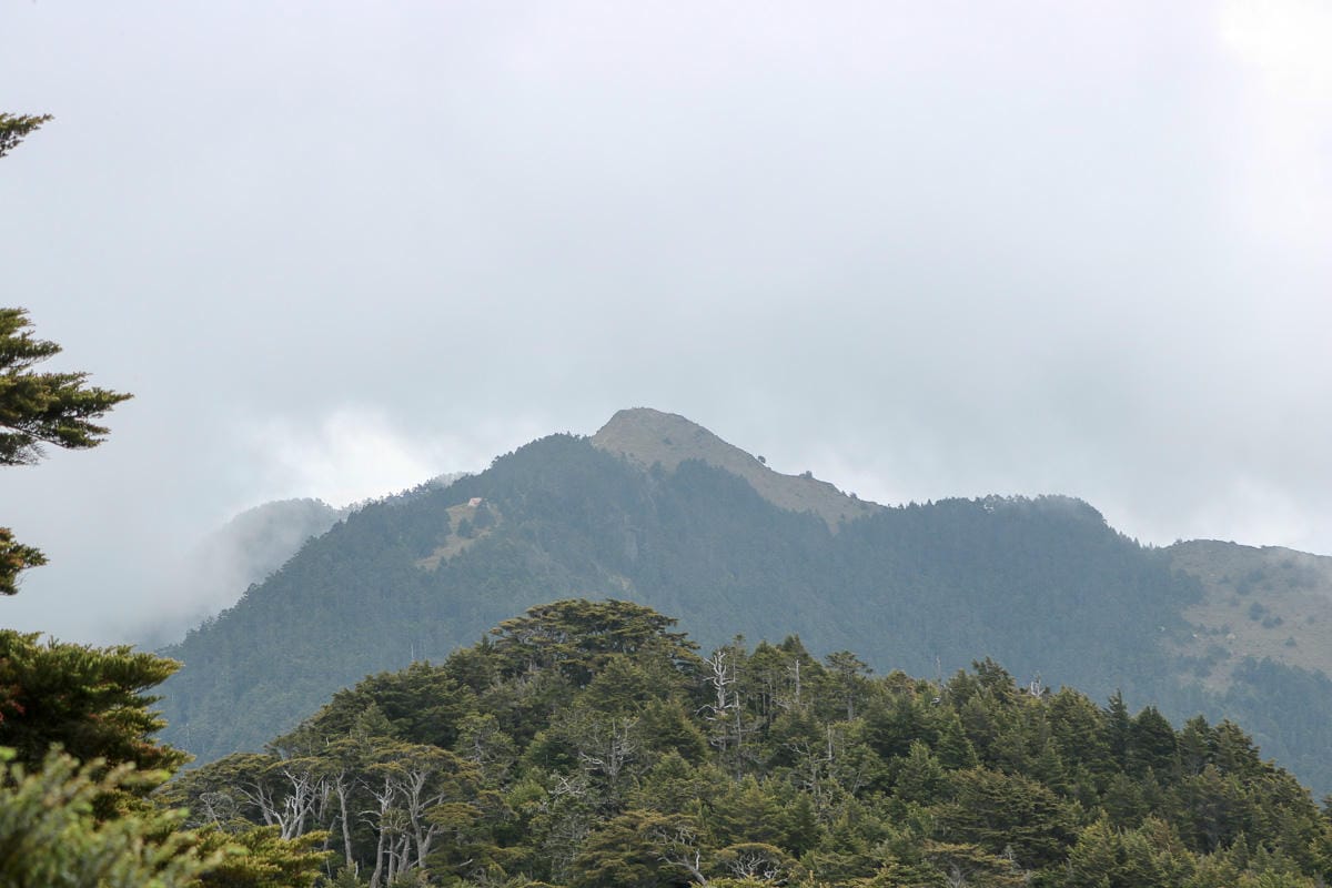 池有山難不難？武陵四秀品田池有必經之路