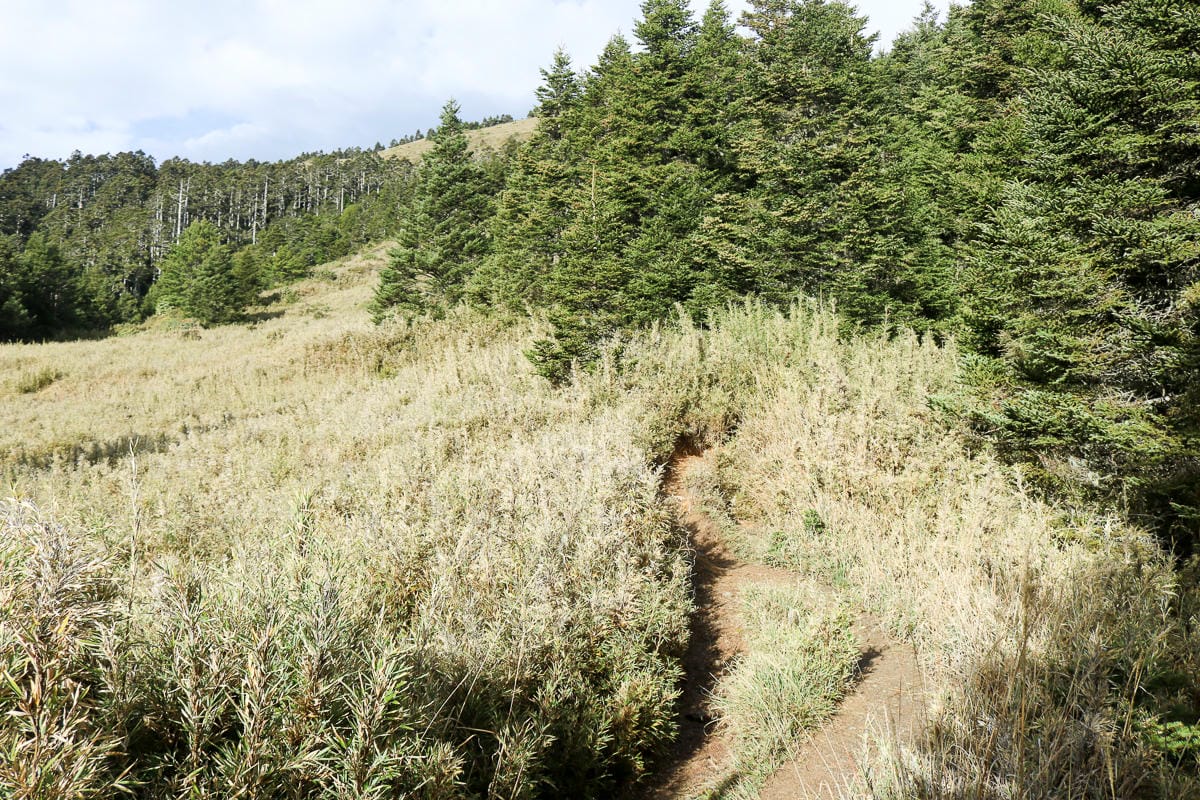 品田山V斷崖難不難？武陵四秀品田池有必經之路