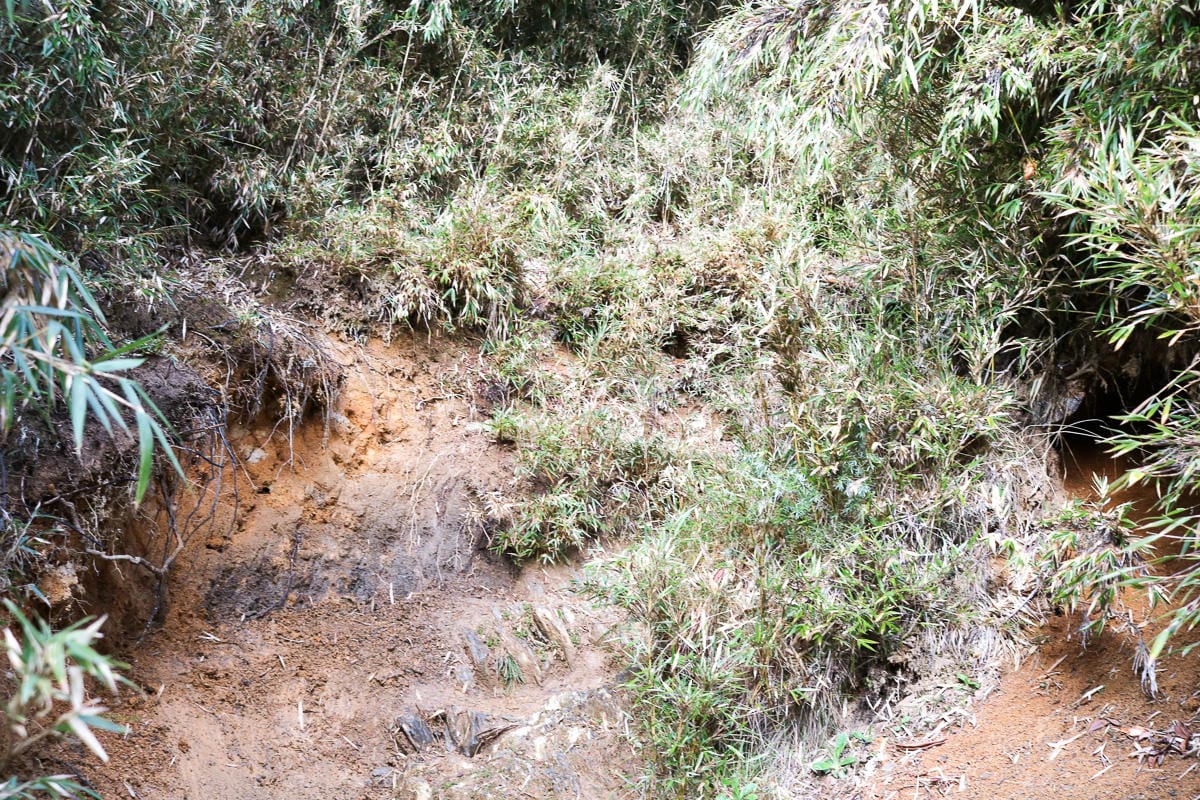 品田山V斷崖難不難？武陵四秀品田池有必經之路