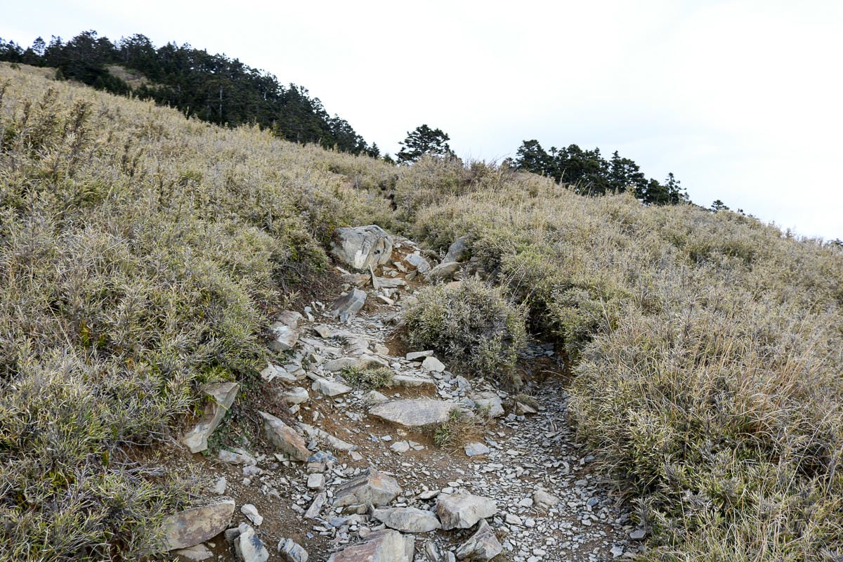 品田山V斷崖難不難？武陵四秀品田池有必經之路